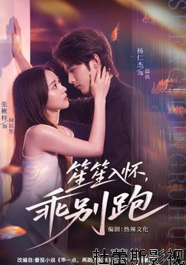笙笙入怀,乖别跑